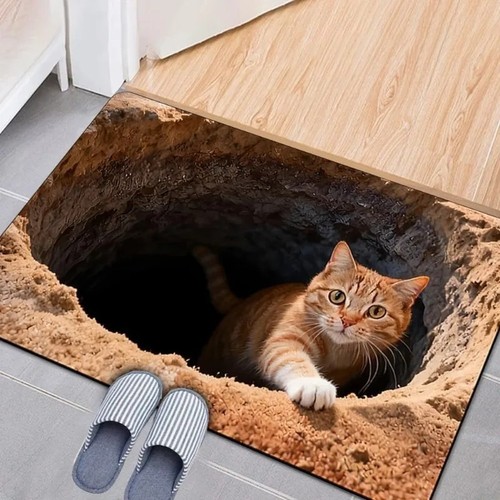 Optical illusion cat - 3d, rug